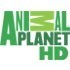 Animal Planet HD логотип