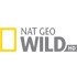 Nat Geo Wild HD логотип