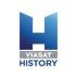 viju History логотип
